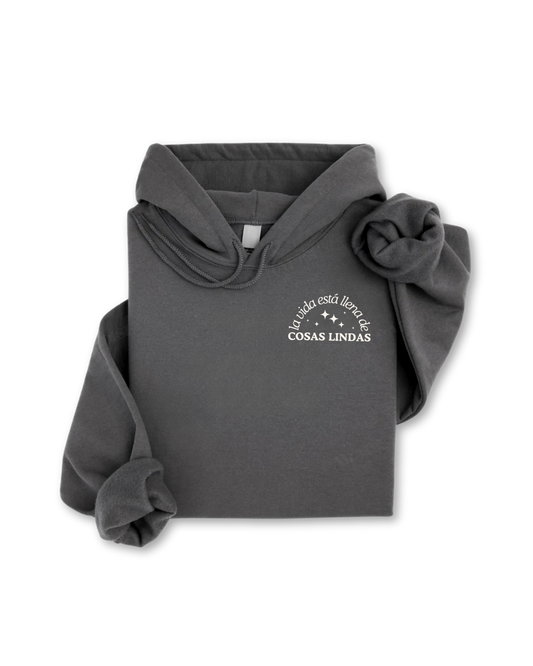 Llena de Cosas Lindas hoodie