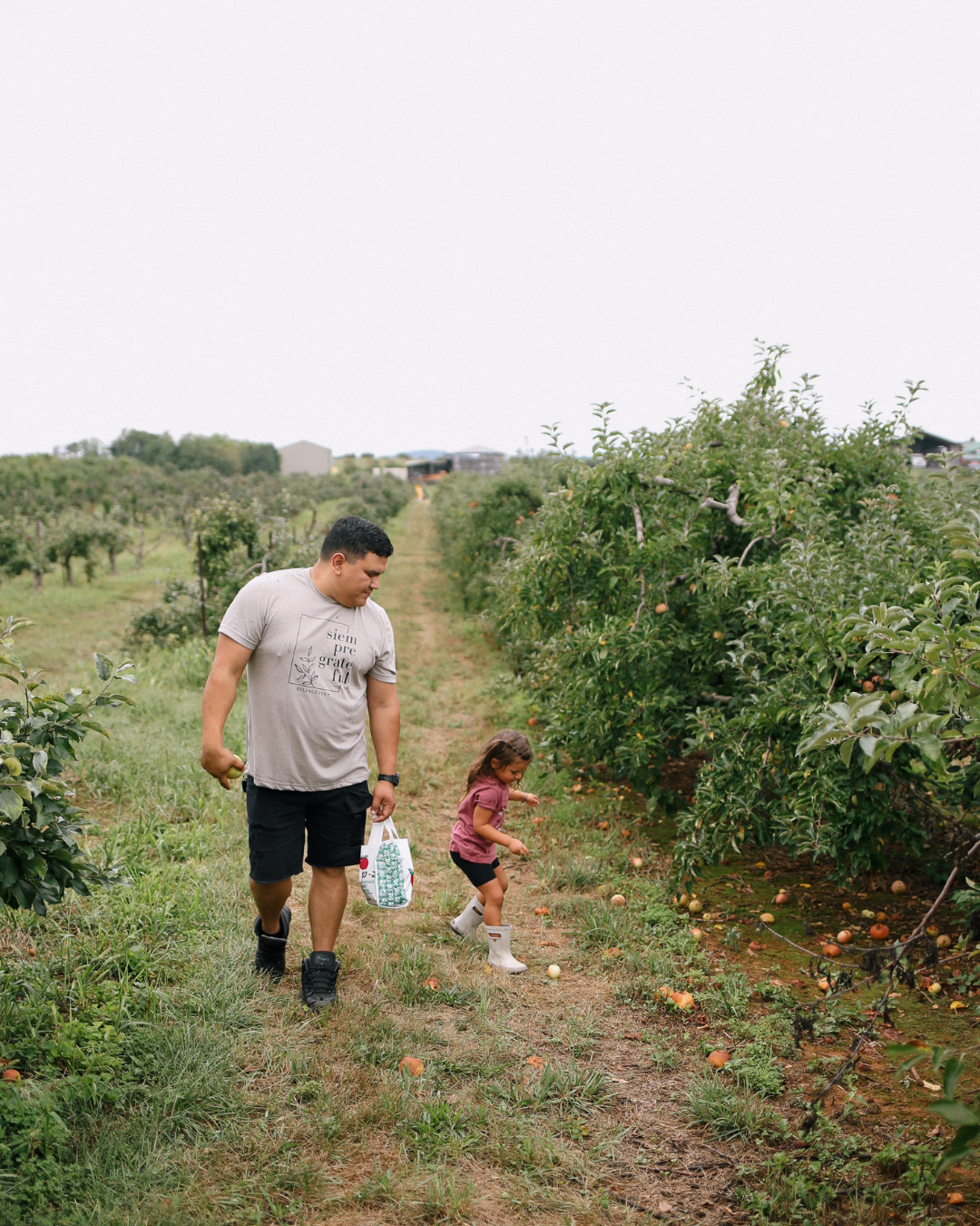 Siempre Grateful Adult tee
